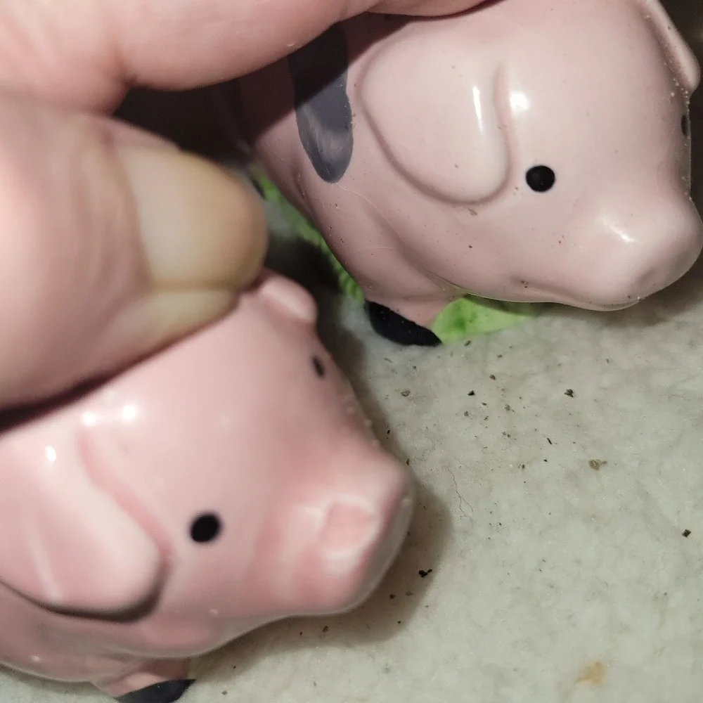 Salt & Pepper Shakers Classic Pink‎ Farm Pigs